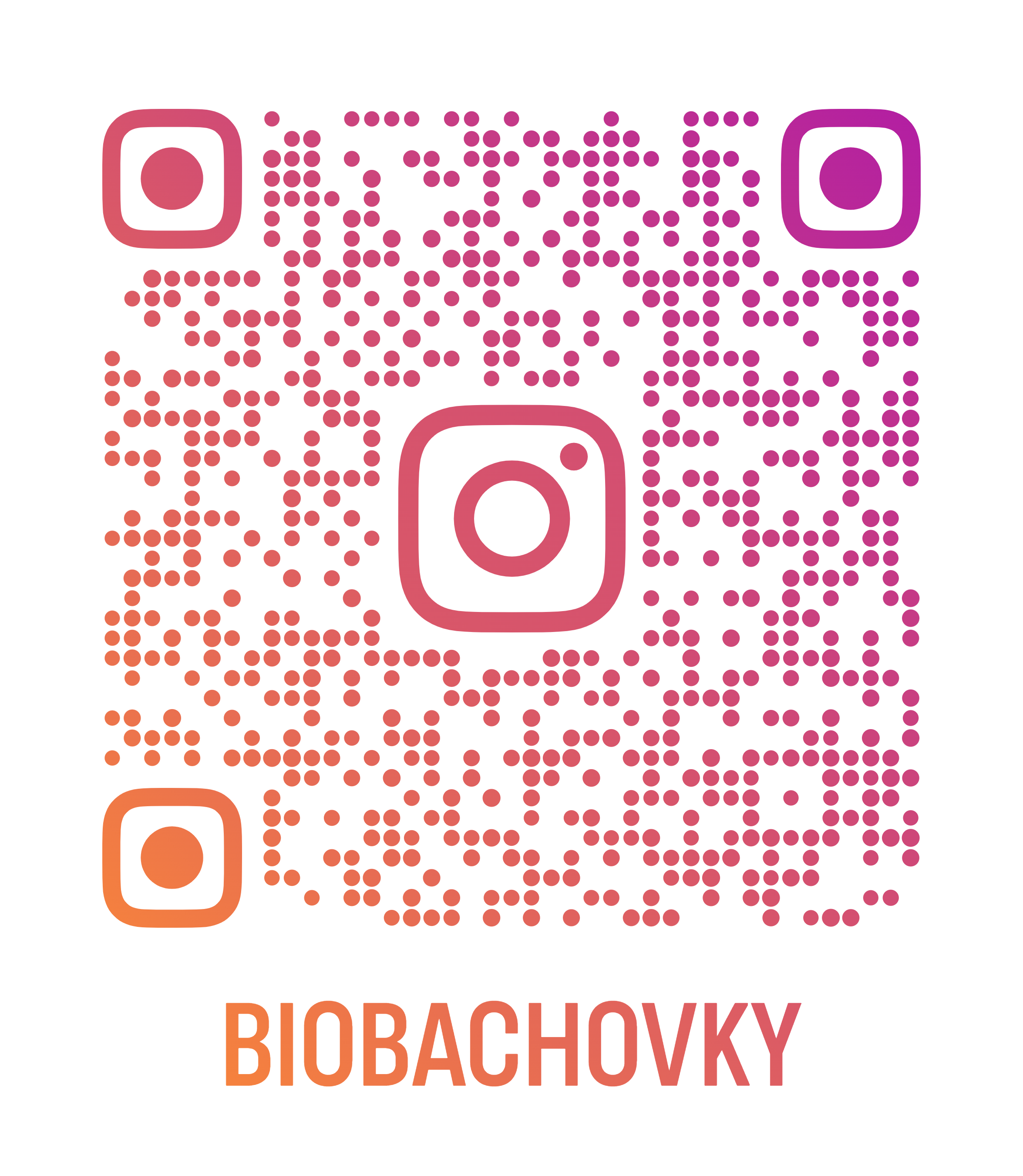 Instagram Bio-Bachovky